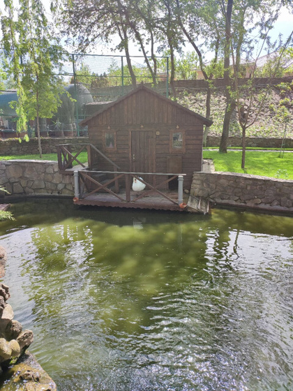 Парк Лога.