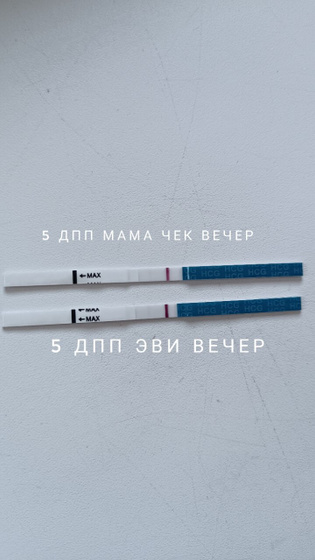 6дпп и кровь 🆘