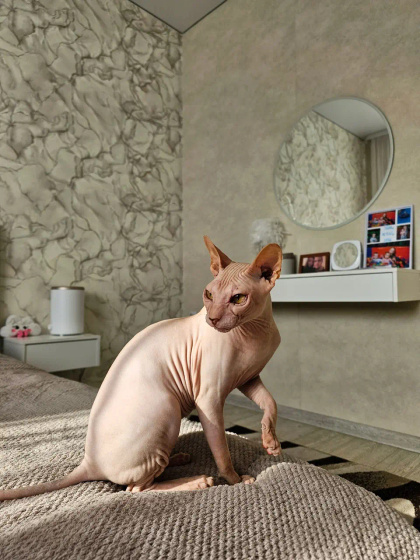 Сфинкс