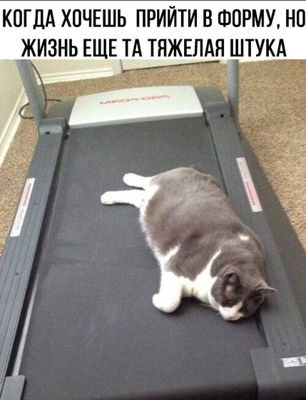 Как я худею