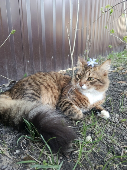 Выходной вайб 🌸😍
