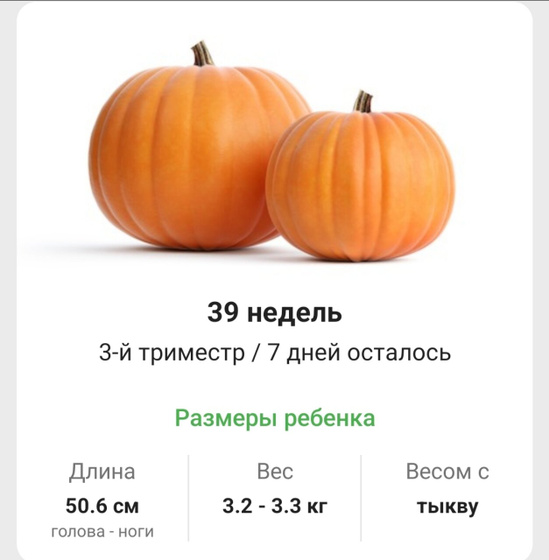 39 недель 7 дней