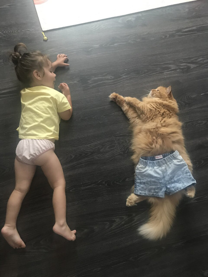 Отдала коту свои шорты