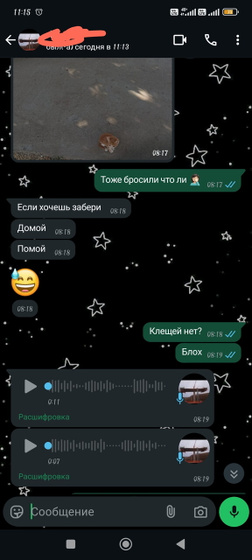 Опять котенок ....