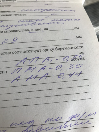 Кровоток