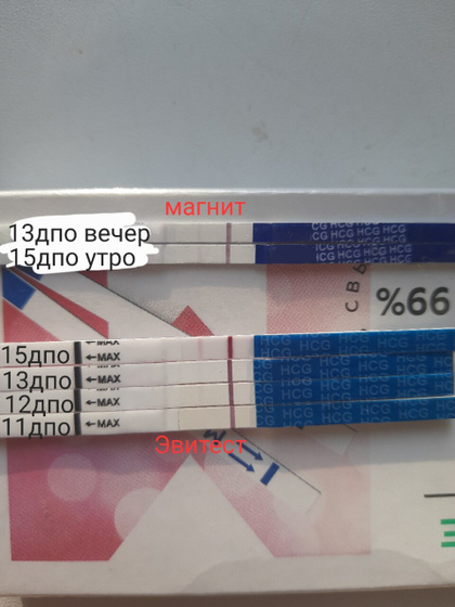Девочки, подскажите нормальная полоска