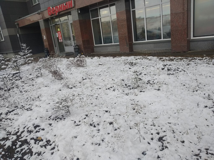 Весна в Питере