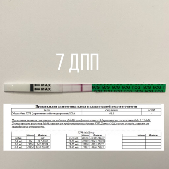 КРИО ❄️ 6 ДПП - 9 ДПП (ЧАСТЬ 3)
