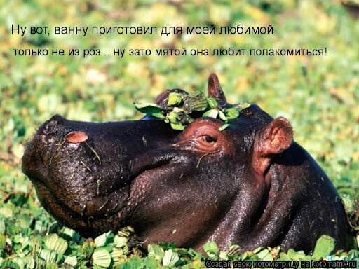 Новогодняя игра 