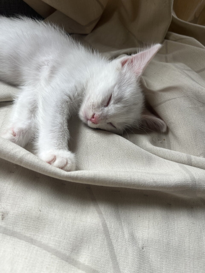 Моя причина по которой