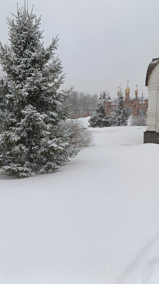 У нас такая весна❄️🌸