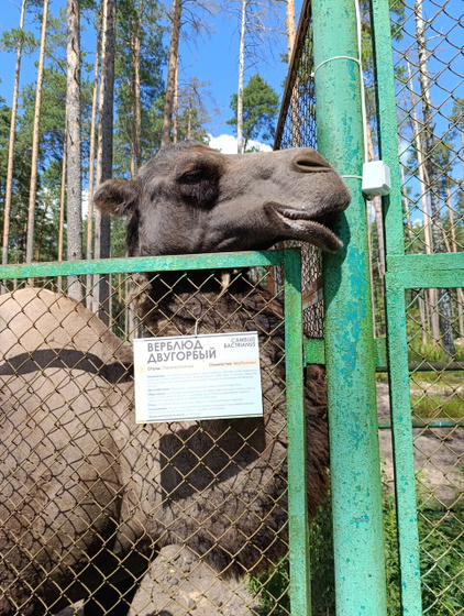 День релакса