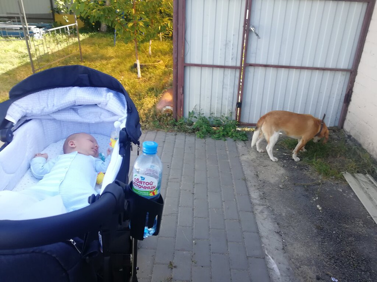 Полтора месяца прелетело как