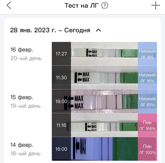 2️⃣0️⃣ день цикла ( вечер )