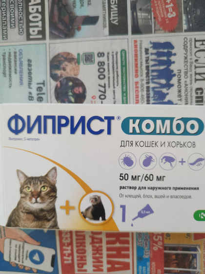 Это нормальная реакция?