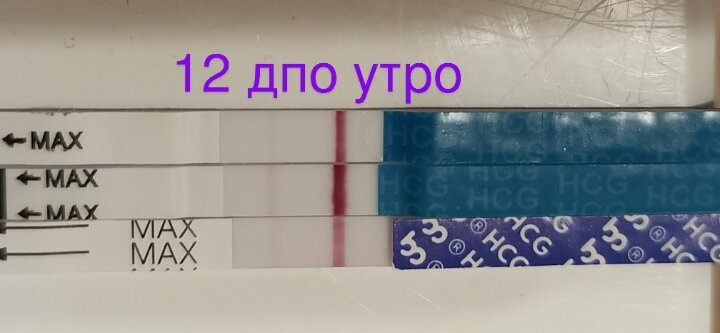 Сегодня 20дпо?Доброе утро??? Вчера