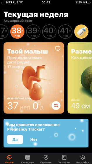 37 недель, финишная прямая