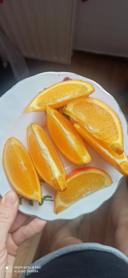 Стройнею к лету. День 11.