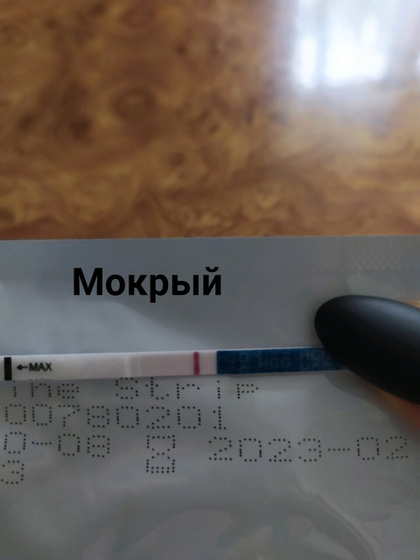 🌺11 ДПО 🌺 Злая шо капец 🤬