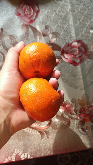 Похудение