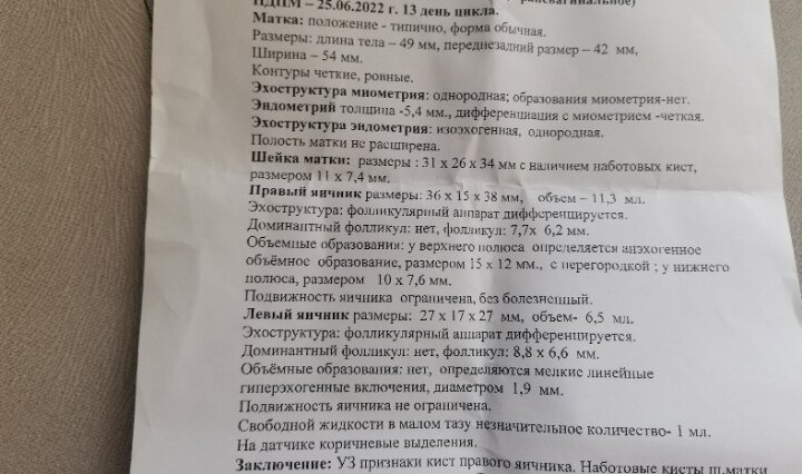 Девочки на 11 дц