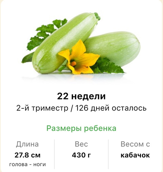 22 недели .