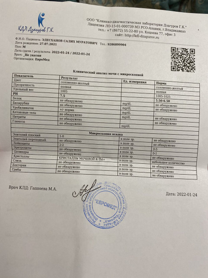 Общий анализ мочи