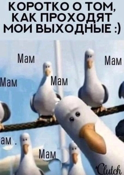 Я плохая
