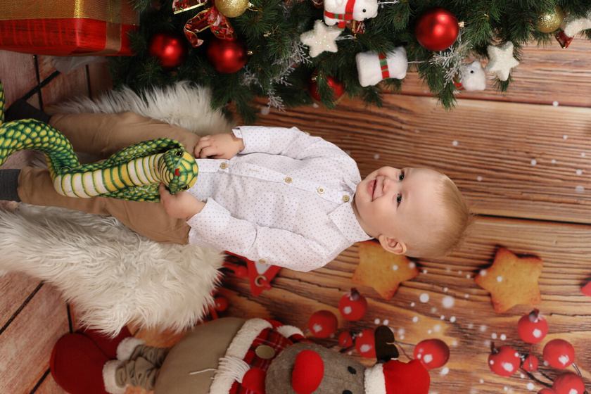 Фотосессия 🎄