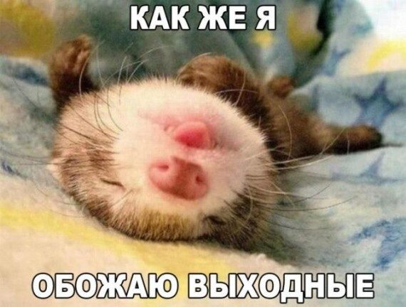 А кто вы в конце рабочей недели?