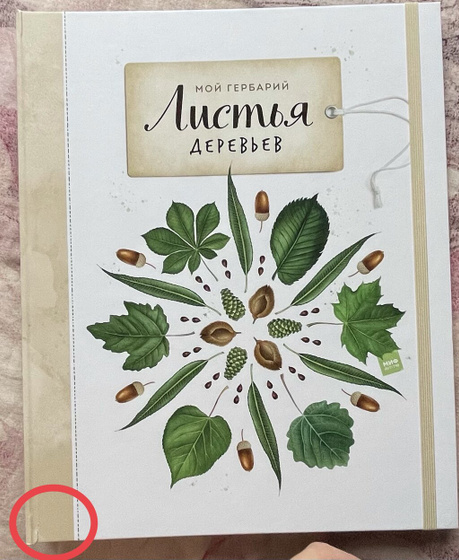 Издательство МИФ