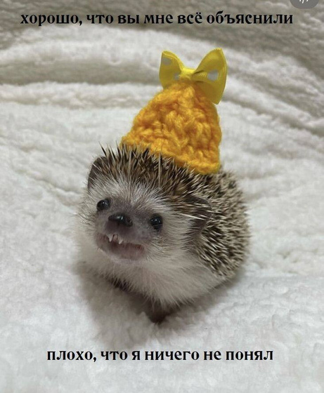 Мама, да сколько можно? Убери телефон ?