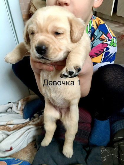 Детки подрастают)