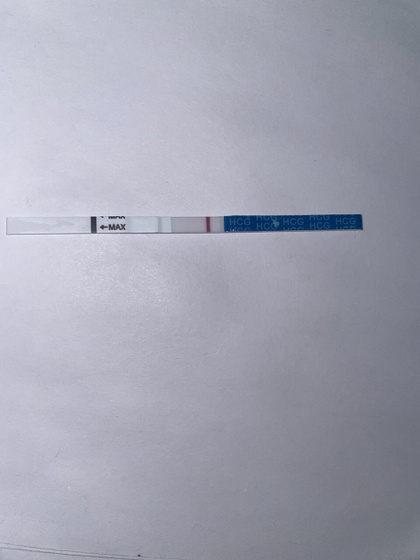 11 дпо