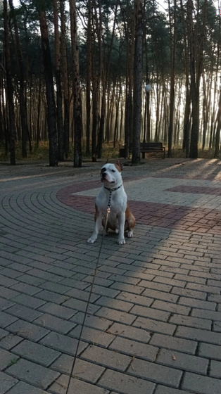 Делитесь с фотками своих