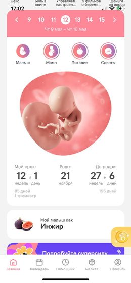 12 недель