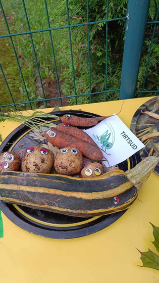 Такая выставка в саду