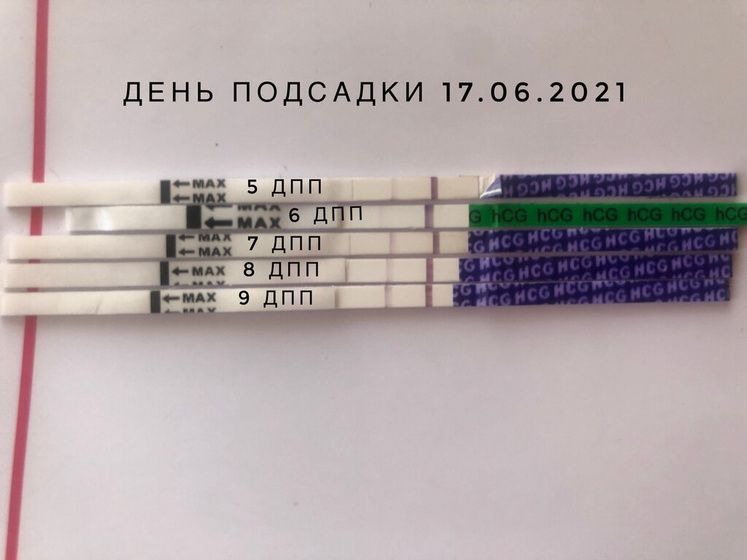ЭКО?