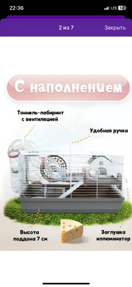 Хома 🐹