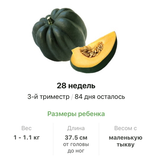 28 недель .