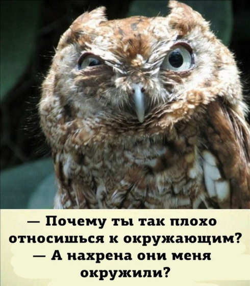 Фотография 2022-05-30 06:06:17