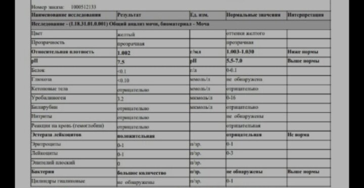 Подскажите по анализу Сдали