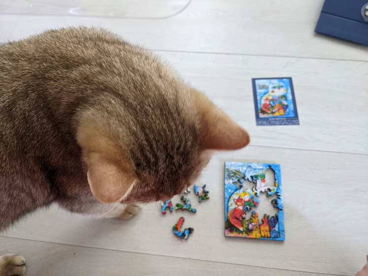 Ну что, пришли и