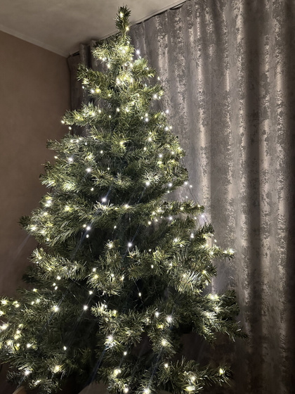 Ёлка 🎄