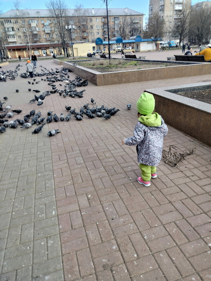 Всем добрый вечер 🌃