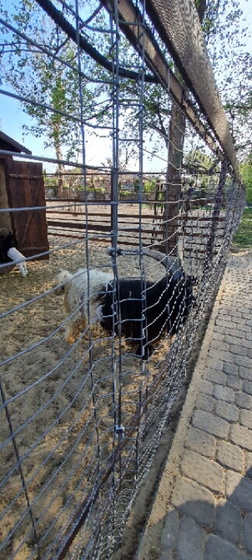 Парк Лога...