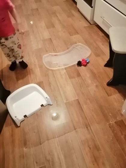 Отошла в туалет😿 Помощница