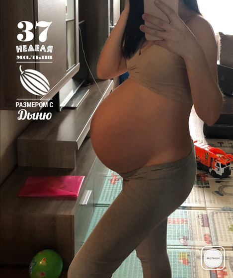 37 недель
