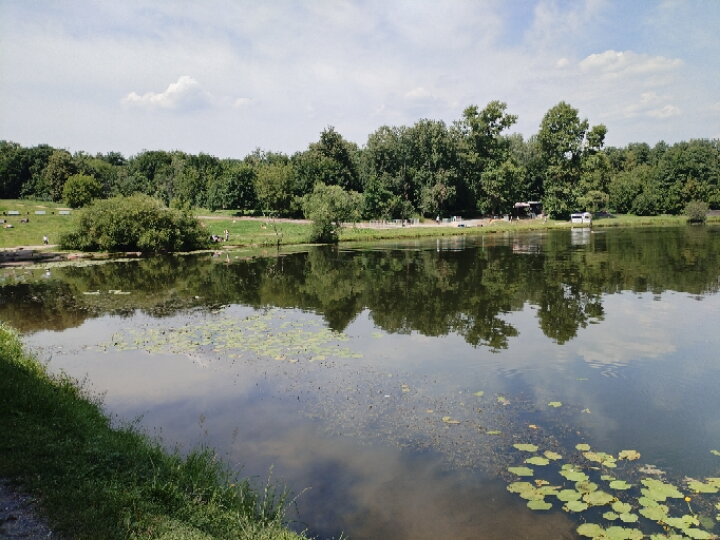 Прогулка в Кузьминском парке☀️
