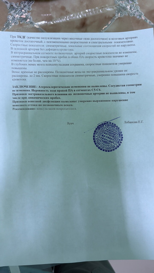 УЗИ сосудов шеи